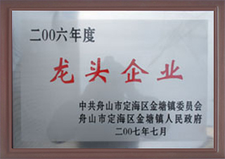 2006年度龍頭企業(yè)